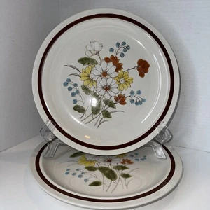 FOUR SEASONS COLLECTION, EARLY SUMMER, DINNER PLATES, SET OF 2-10.5 INCHES - Picture 1 of 4