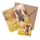 1 x Greeting Card & Coaster Set - Australian Shepherd Dog #12479