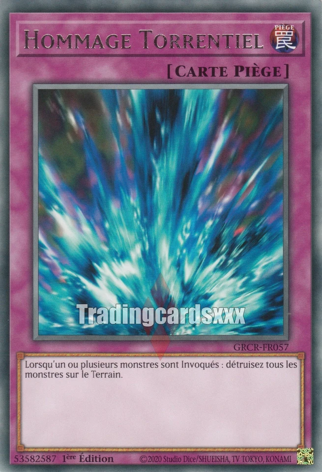Yu-Gi-Oh! Hommage Torrentiel : R GRCR-FR057 - Photo 1/1