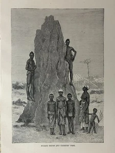 1888 Bijago people and Termites' Nest. Guinea-Bissau West Africa Antique Print - Picture 1 of 1