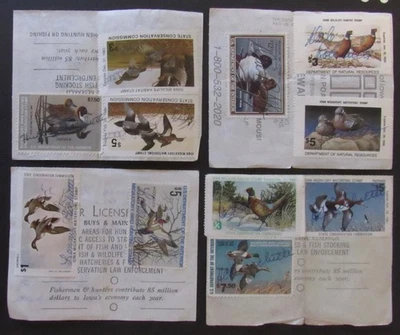 RW41 to RW56 - 1974 to 1989 Duck Stamps on Non-Resident Iowa Hunting Licenses - Image 1 of 4
