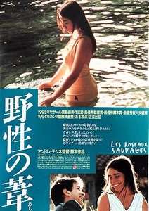 Mini póster de película japonesa Chirashi Wild Reeds 1994 Wild Reeds Japonés B5 - Imagen 1 de 2