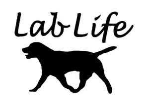 Lab Life White Vinyl Decal Sticker - Foto 1 di 1