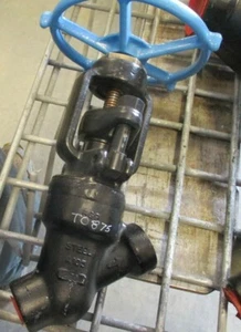 RP&C F280E Forged Steel Y-Pattern Globe Valve 1/2" 2500 Thread End CO-CR Trim - Picture 1 of 7