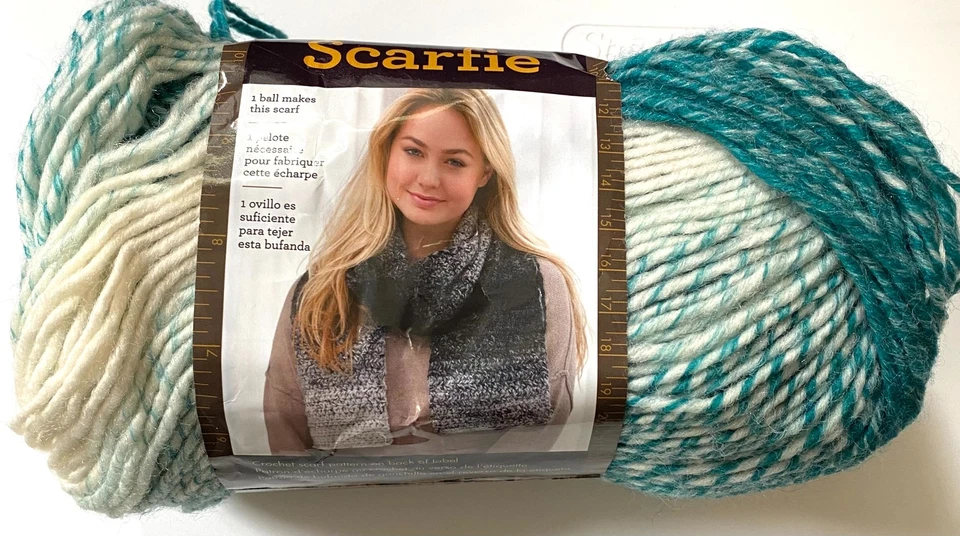 Lion Brand Scarfie Yarn Acrylic Wool 5 Bulky Chunky 150g Skein Striping Assorted - Image 1 of 1