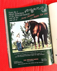 Diario Quarter Horse 1985, libro, ¡edición semental! - SMOOTH TOWN - SIR QUINCY DAN - Imagen 1 de 23