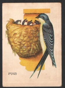 Swallow card From Israeli Animals Cards Set, By Tamar 1960's judica - Picture 1 of 2
