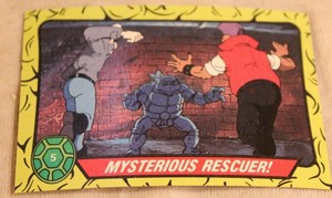 Teenage Mutant Ninja Turtles Trading Card Number 5 Mysterious Rescuer
