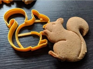 Squirrel Cookie Pastry Biscuit Cutter Icing Fondant Baking Clay Cute Animal Nuts - Picture 1 of 1