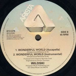 WILDSKI - Wonderful World - Arista - 1990 - UK - 613 479 - Picture 1 of 2