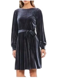 Calvin Klein Velvet Belted Dress Size 12 Gray Silver Long Sleeve Scoop Neck #C - Picture 1 of 10