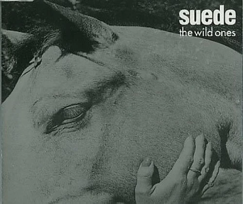 Suede Wild ones (#6608222)  [Maxi-CD] - Bild 1 von 1