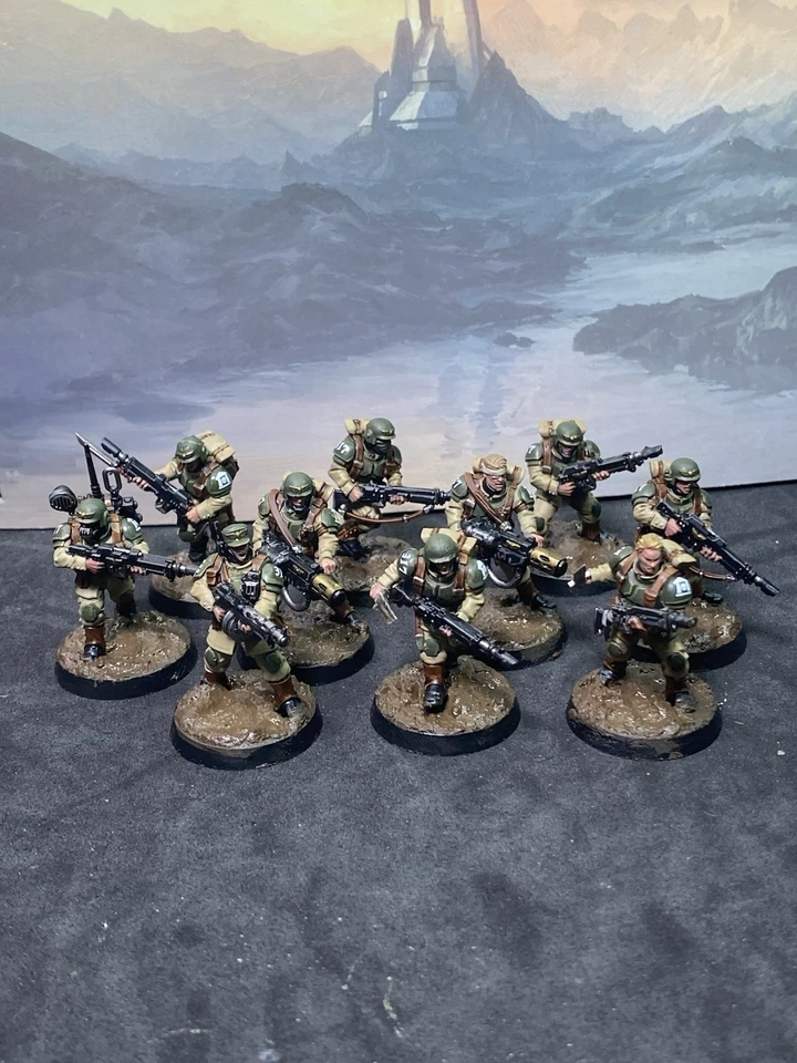 Warhammer 40k Imperial Guard Cadian Shock Troops x10 Squad Painted - Image 1 of 4