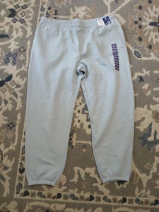 Woman’s Champion Fleece Jogger XXL Authentic AthleticWear Silver Spotlight NWT - Picture 1 of 6