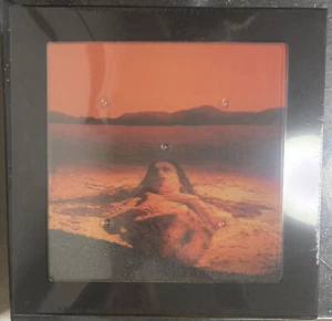 ALICE IN CHAINS DIRT 30TH ANNIVERSARY DELUXE BOX SET  SOLD OUT NEW AND SEALED - Picture 1 of 3