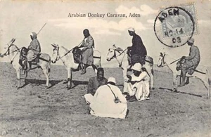 Yemen - ADEN - Arabian donkey caravan - Publ. I. Benghiat Son - Picture 1 of 2