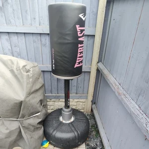 Everlast Punching Bag - Picture 1 of 3