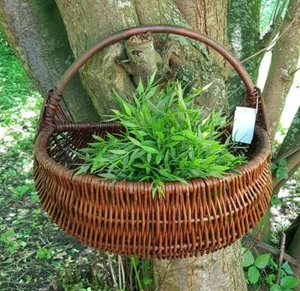 !!NEU!! Weidenkorb  Obstkorb Gartenkorb Geflochtener Korb Weide Pflanzkorb - Bild 1 von 7