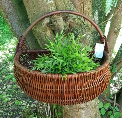 !!NEU!! Weidenkorb  Obstkorb Gartenkorb Geflochtener Korb Weide Pflanzkorb - Bild 1 von 4