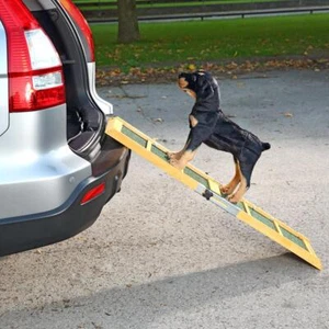 Rampa per auto rampa per cani - portatile - Foto 1 di 5