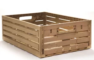 10 Stk Gemüsekiste Saftpresse Obstkorb Gemüsesteige 60x40x21,8cm Gastlando - Bild 1 von 5