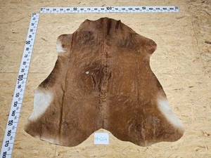 Kuhfell mit kleinen Mängeln 41-064 - Bild 1 von 1