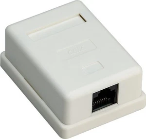 3 x prise de jonction 1 port RJ45, CAT 6, UTP ; prise de jonction 1 port RJ45, CAT 6, UTP, - Photo 1/2