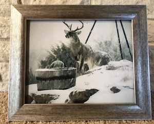 Snow Buck Photograph 8 x10 Silver Frame Deer Hunter Nature Outdoors Art Winter - Picture 1 of 1