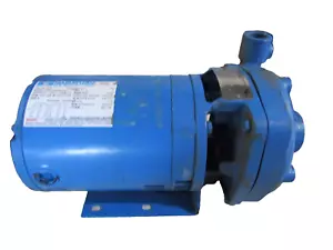 🔥NEW DRESSER MARATHON 1.5 HP CENTRIFUGAL PUMP 1.25X.75X5 460V 3450 P-281A 50GPM - Picture 1 of 15