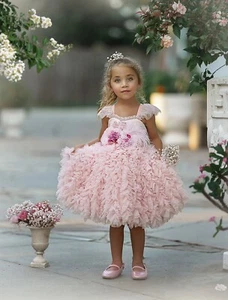 NWT Dollcake Happily Ever After Pink Dress w Sash Pagent Wedding Flower Girl 10 - Picture 1 of 5