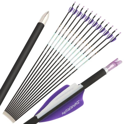 32" Pure Carbon Arrows 24T SP300-1000 ID4.2mm Recurve Bow Shooting Hunting 003" - Image 1 of 4