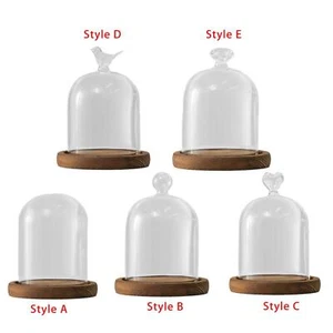 Clear Glass Dome Bell Jar with Wood Tray for Tabletop Shelf Accessories - Picture 1 of 35