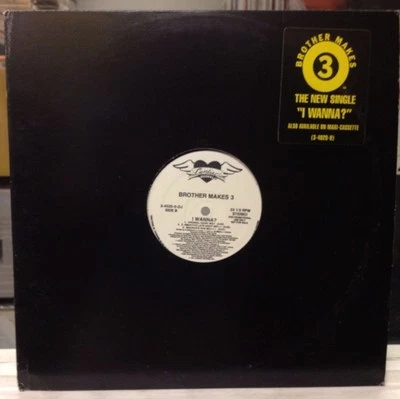 [EDM]~EXC 12"~BROTHER MAKES 3~E SMOOTH~I Wanna~[x5 Mixes/Remixes]~[1991 WLP] Foto 1 de 4