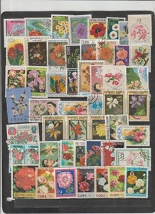 50 Sellos Mundiales Diferentes Tema Flores (GJ-155) - Imagen 1 de 1