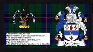 Alfombra de bar Davidson Scottish Clan Scotland corredor pub hogar fantástico recuerdo - Imagen 1 de 3