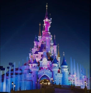 15 VIP FAST-PASS DISNEYLAND PARIS✨ EDITION 2025✨ BEST ACCESS EVER ✨ - Bild 1 von 1