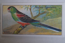 Nature Series Card Collectors Print of John Player Trade Card Paradise Parrakeet