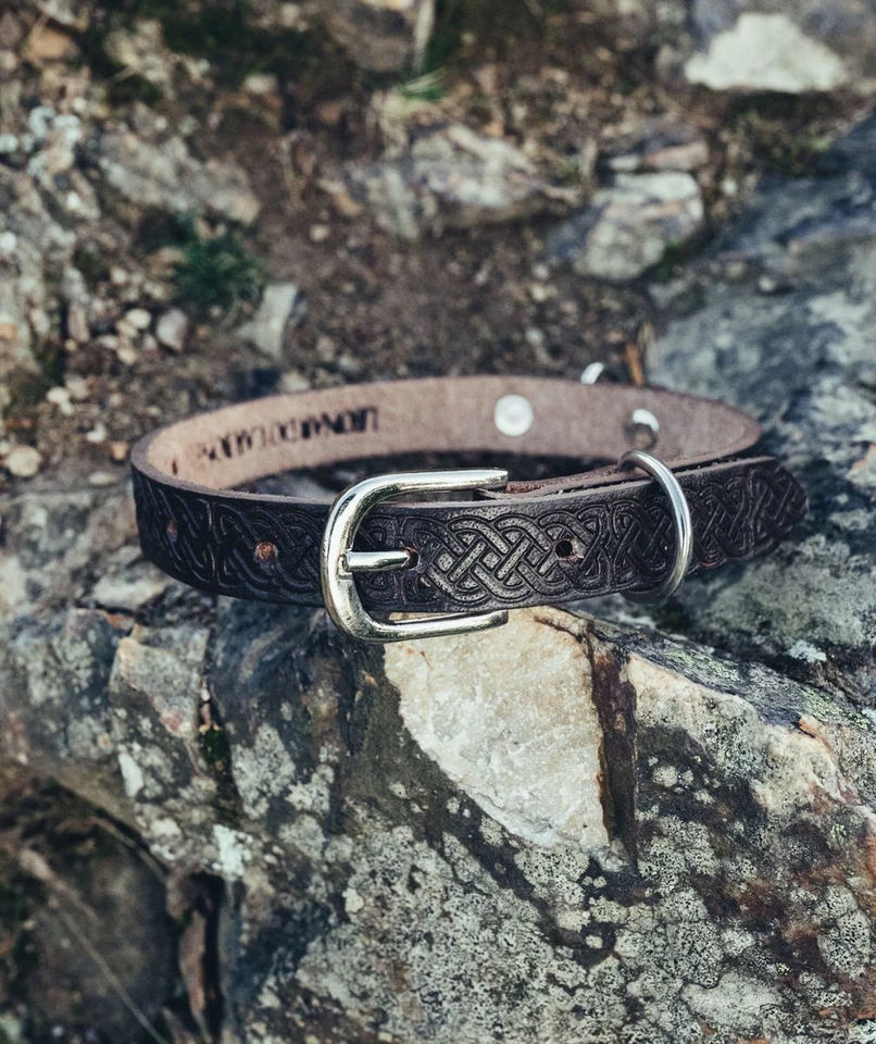 LEONARDO CARBONE Hundehalsband mit keltischer Punzierung Wikinger Mittelalter LARP Halsband