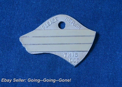 RARA ETIQUETA DE PERRO ANTIGUA CON FORMA DE CABEZA DE PERRO ETIQUETA DE COLLAR DE PERRO NÍQUEL PLATA ¡GENIAL! Foto 1 de 3