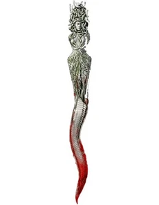 MEDUSA DAGGER Antique Finish 2 Oz Silver Coin 2000 Francs Cameroon 2025 - Picture 1 of 4