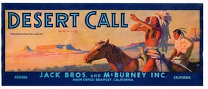 GENUINE CRATE LABEL AMERICAN INDIAN BRAWLEY VINTAGE DESERT CALL WARRIOR C1930 - Picture 1 of 1
