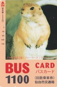 Carte JAPON - SERIE 1/3 - CHIEN DE PRAIRIE DOG 1100 - JAPAN prepaid bus card