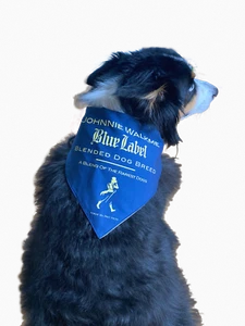 Johnnie Walkme Blue Label Hunde Bandana   - Bild 1 von 2