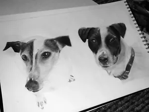 Pet Portrait CUSTOM COMMISSION Pencil Drawing from Photograph A4/A3, animal art - Picture 1 of 5
