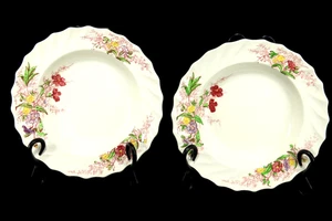 Lot of 2 Vintage  Spode Fairy Dell 8" Rimmed Soup Bowls, in Excellent condition! - Bild 1 von 9
