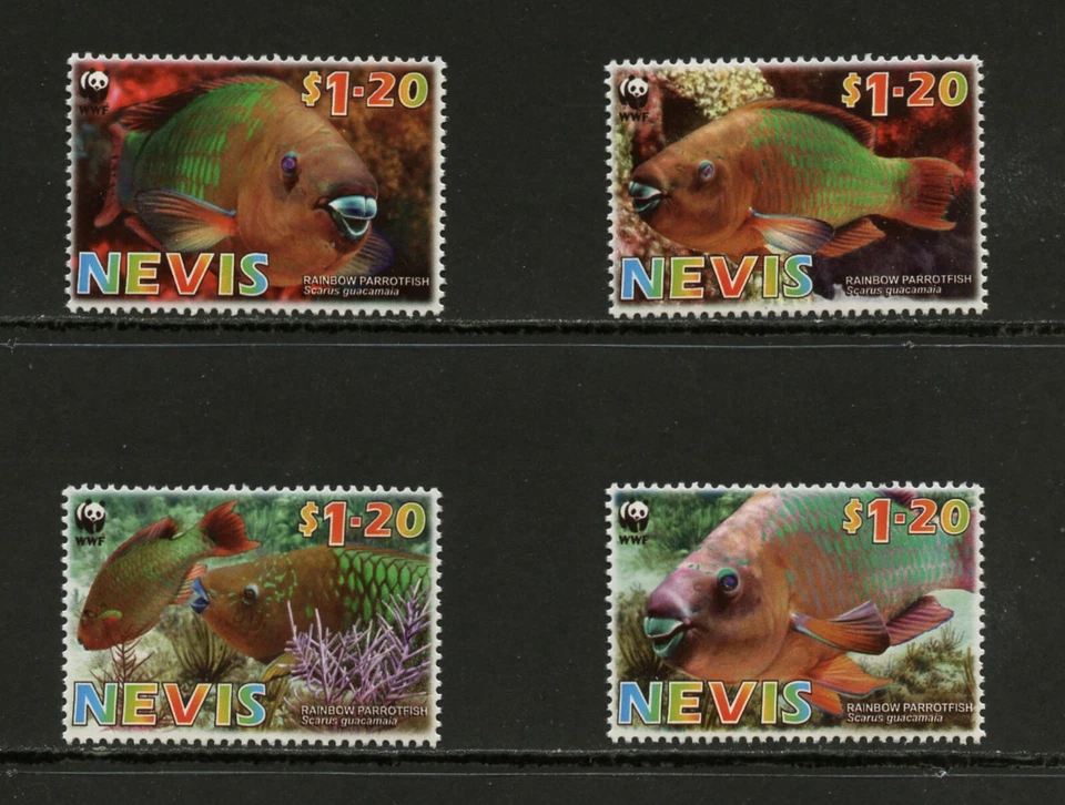 H616 Nevis 2007 peces pez loro marino 4v.    MNH Foto 1 de 1