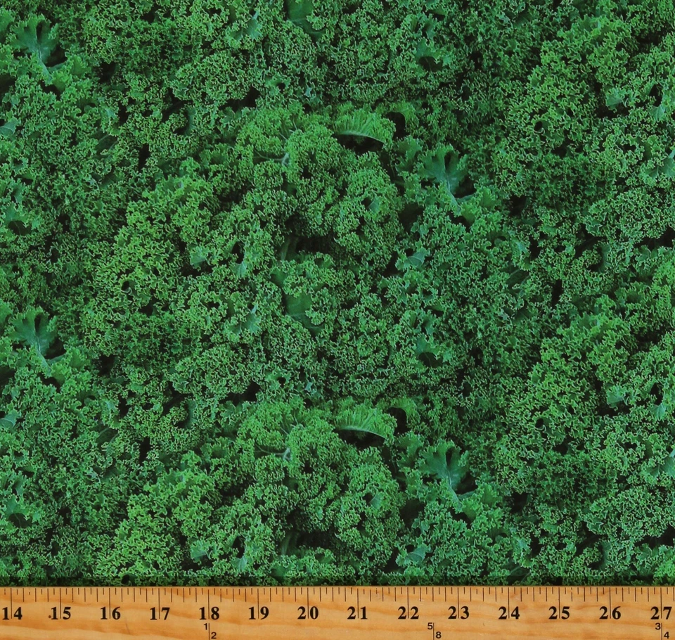 Impresión de tela de alimentos de hoja de hojas de productos vegetales de col rizada de algodón por yarda D570,96 Foto 1 de 1
