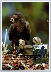 #4099a Southern Florida Snail Kite FDC Maxi Card w/Pictorial Cancel - Picture 1 of 2