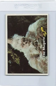1976 Topps Star Trek #69 The Mugato EX/MT *DA-D8670 - Bild 1 von 2