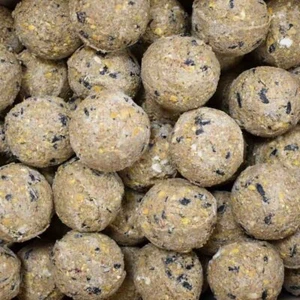 Palline Suet Premium con insetti 200 x circa 90 grammi senza rete - Foto 1 di 4